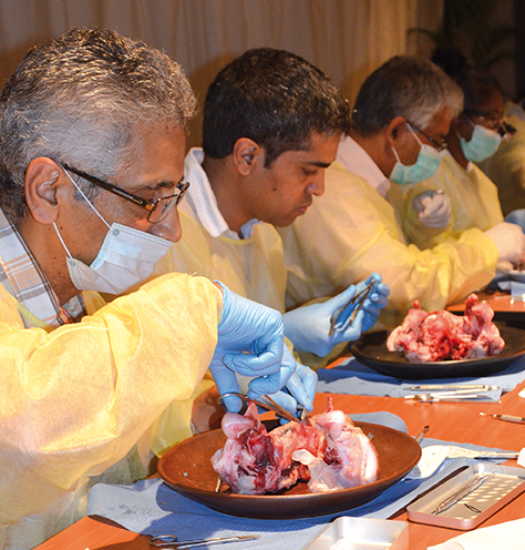 La couronne provisoire, temporaire ou transitoire. - 12e journées de  chirurgie dentaire à l'île Maurice - Comptes-rendus des journées de  formation - SOP